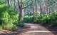 Margaret River Retreat - thumb 20