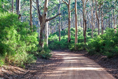 Margaret River Retreat - Great Ocean Road Tourism 20