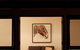 Margaret River Retreat - thumb 10