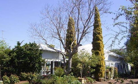 Jacaranda Guest House - Great Ocean Road Tourism 37
