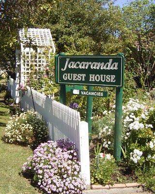 Jacaranda Guest House - Great Ocean Road Tourism 43