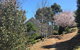 Balingup Highview Chalets - thumb 40