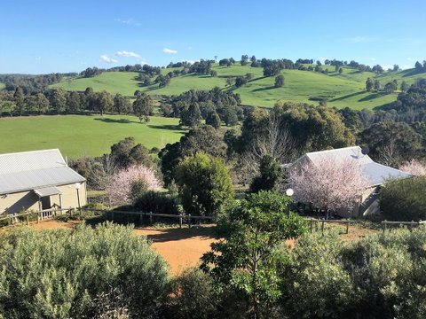 Balingup Highview Chalets - Great Ocean Road Tourism 5