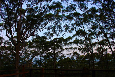 Ark Of Denmark - Great Ocean Road Tourism 27