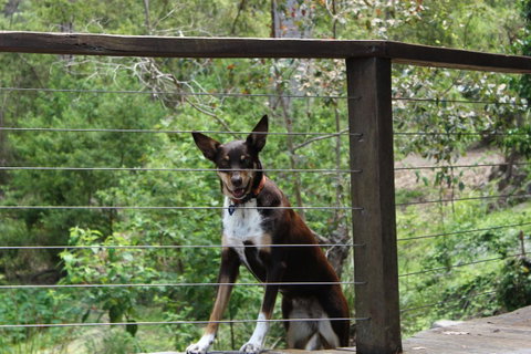 Ark Of Denmark - Great Ocean Road Tourism 10