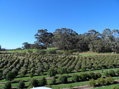 Tennessee Hill Chalets - Great Ocean Road Tourism 15