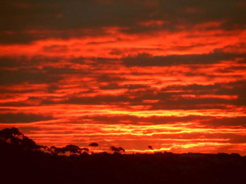 Tennessee Hill Chalets - Great Ocean Road Tourism 3