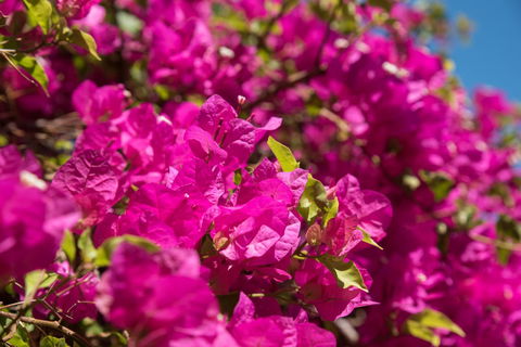 Jurien Bay Hotel Motel - Great Ocean Road Tourism 3