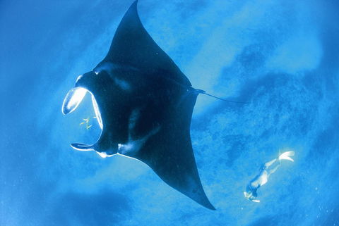 Sal Salis Ningaloo Reef - Great Ocean Road Tourism 28