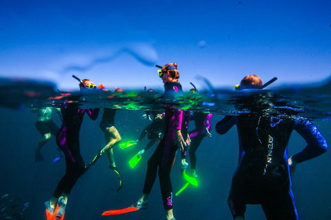 Sal Salis Ningaloo Reef - Great Ocean Road Tourism 26