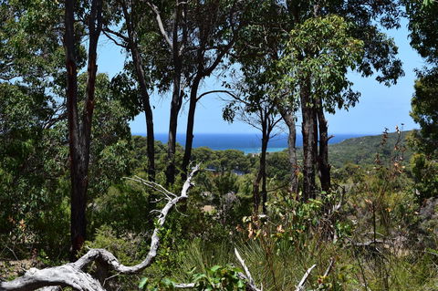 Eagle Bay House - Great Ocean Road Tourism 38