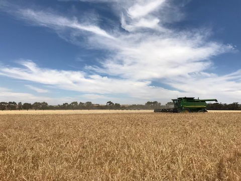 The Mains Guest House 2 Bedroom Farm Stay - Great Ocean Road Tourism 17