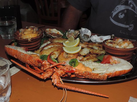 Wildsights Villas - Great Ocean Road Tourism 13