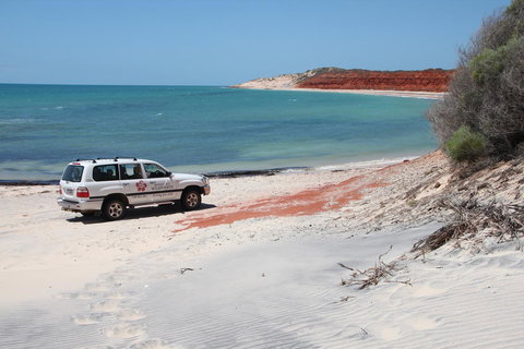 Wildsights Villas - Great Ocean Road Tourism 12