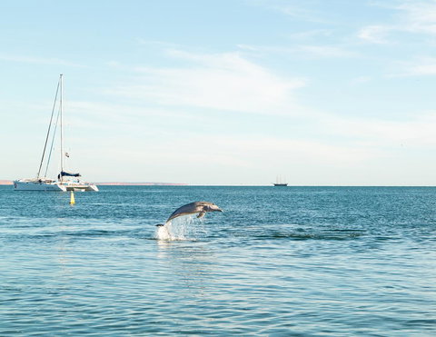 Wildsights Villas - Great Ocean Road Tourism 11