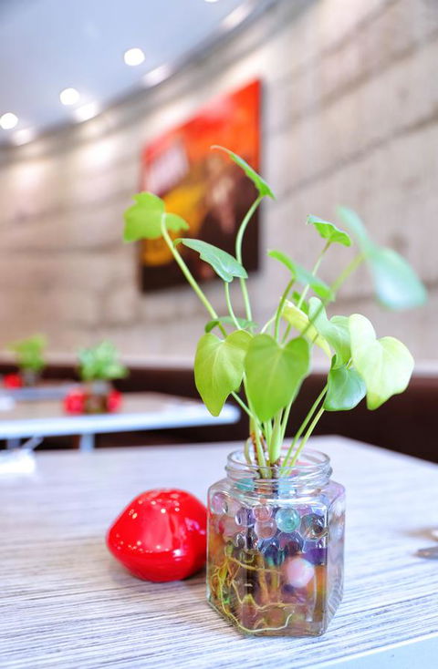 Bunbury Hotel Koombana Bay - Great Ocean Road Tourism 20