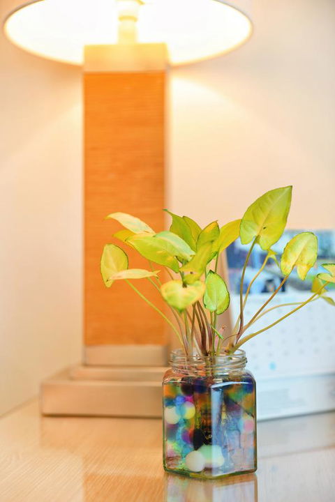 Bunbury Hotel Koombana Bay - Great Ocean Road Tourism 7