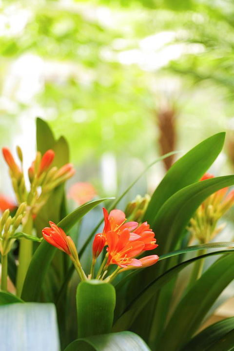 Bunbury Hotel Koombana Bay - Great Ocean Road Tourism 19