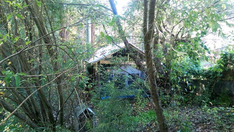 Black Cockatoo Lodge - Great Ocean Road Tourism 22