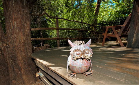 Black Cockatoo Lodge - Great Ocean Road Tourism 8