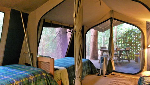 Black Cockatoo Lodge - Great Ocean Road Tourism 18