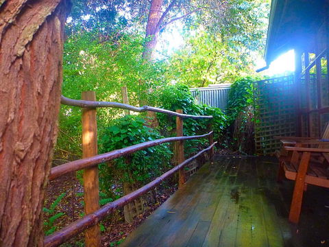 Black Cockatoo Lodge - Great Ocean Road Tourism 21