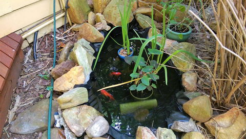 Black Cockatoo Lodge - Great Ocean Road Tourism 29