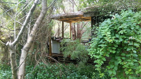 Black Cockatoo Lodge - Great Ocean Road Tourism 6