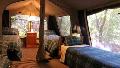 Black Cockatoo Lodge - Great Ocean Road Tourism 17