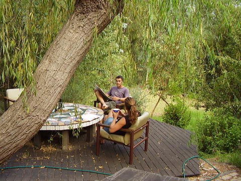 Black Cockatoo Lodge - Great Ocean Road Tourism 35