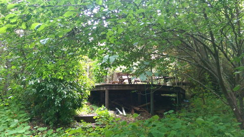 Black Cockatoo Lodge - Great Ocean Road Tourism 23