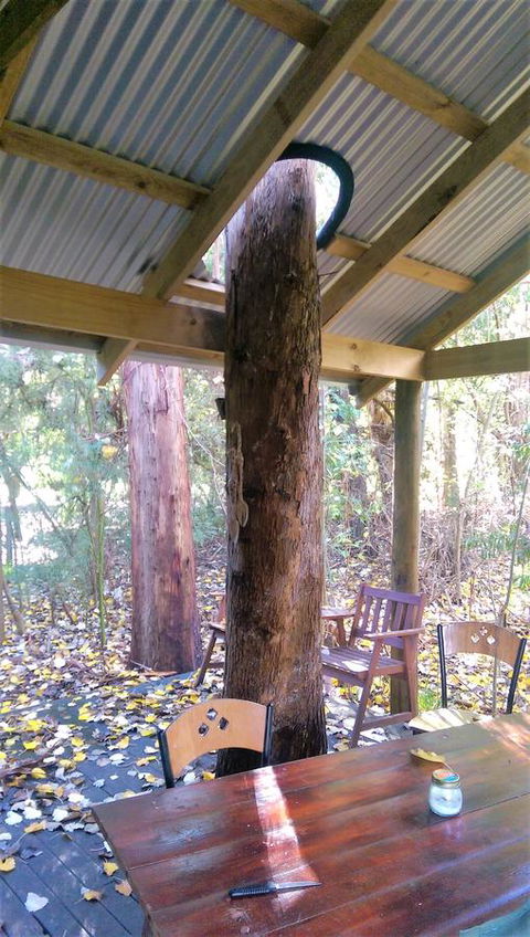 Black Cockatoo Lodge - Great Ocean Road Tourism 19