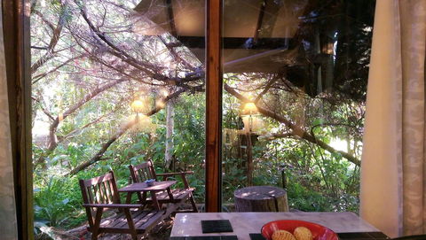 Black Cockatoo Lodge - Great Ocean Road Tourism 32