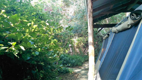 Black Cockatoo Lodge - Great Ocean Road Tourism 12