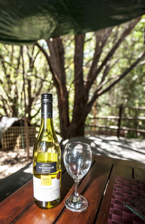 Black Cockatoo Lodge - Great Ocean Road Tourism 25