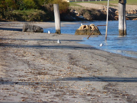 Leander Reef Holiday Park - Great Ocean Road Tourism 6