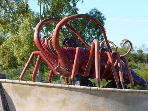 Leander Reef Holiday Park - Great Ocean Road Tourism 4