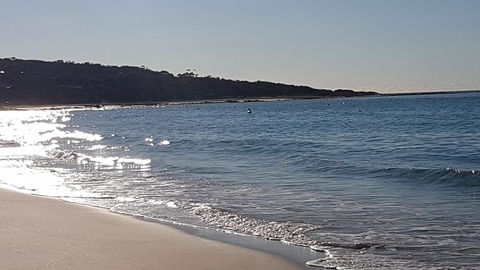 Eagle Bay Discovery - Great Ocean Road Tourism 0