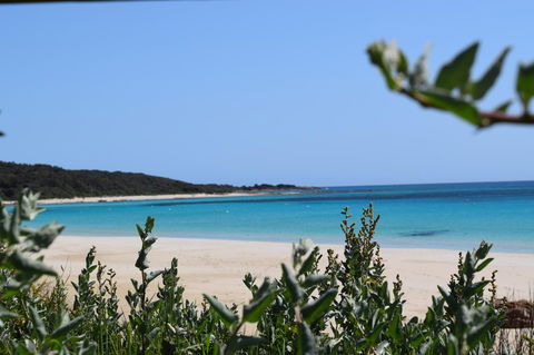 Eagle Bay House - Great Ocean Road Tourism 13