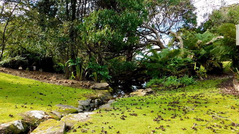 43 Degrees Bruny Island - Great Ocean Road Tourism 8