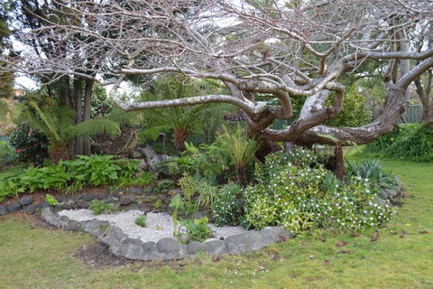 Smugglers Rest Apartments Dover - Great Ocean Road Tourism 22