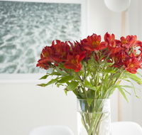 On The Beach Waterfront Apartment - Great Ocean Road Tourism