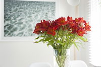 Book Kingston Beach Accommodation Vacations Great Ocean Road Tourism Great Ocean Road Tourism