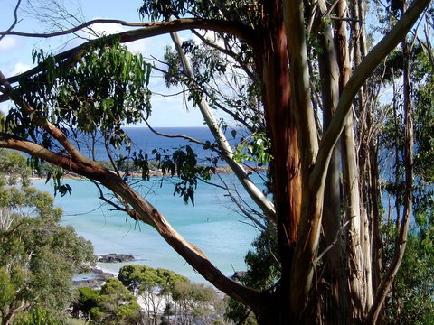 Seascape Beach House - Great Ocean Road Tourism 8