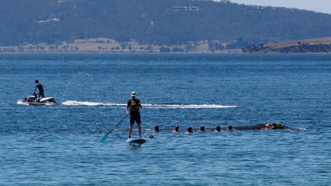 The Ultimate Beach House - Great Ocean Road Tourism 19