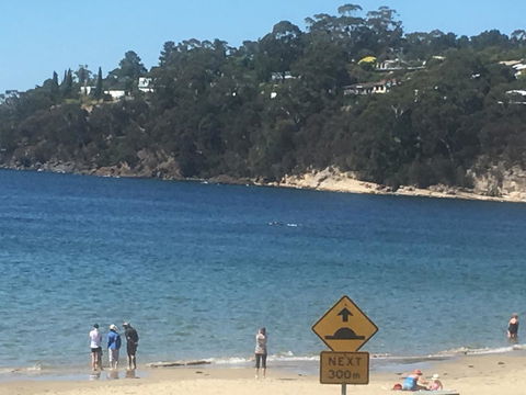 The Ultimate Beach House - Great Ocean Road Tourism 2