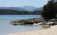 Driftwood - thumb 14