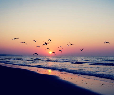 Kingston Beach-House Retreat - Great Ocean Road Tourism 18