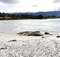 Mermaids of Bicheno - Great Ocean Road Tourism