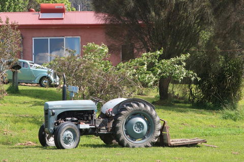 Cherry Top Farmstay - Boutique Eco Village - Great Ocean Road Tourism 25